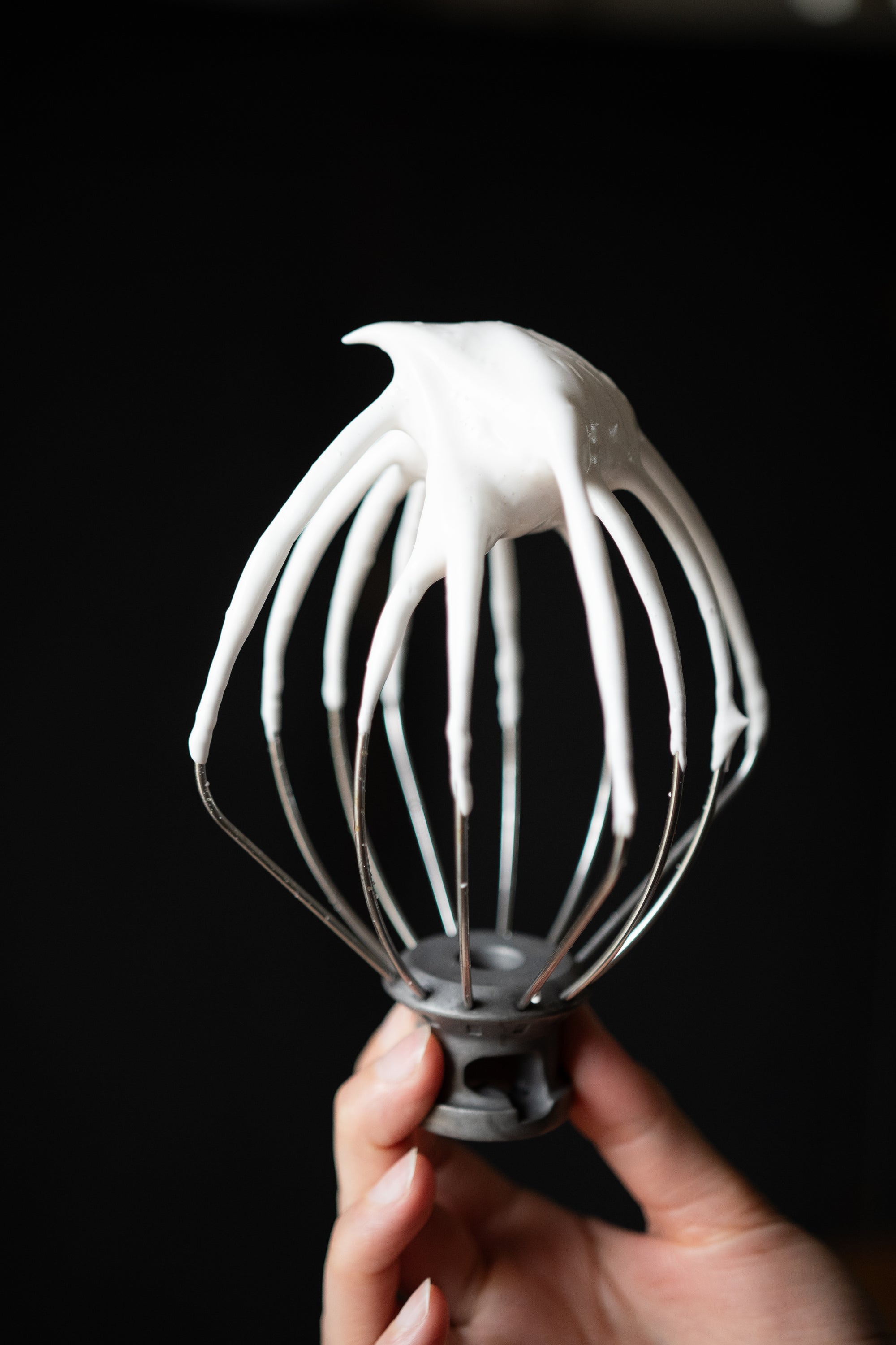 Aquafaba Powder – Bulk 1 kg Bag